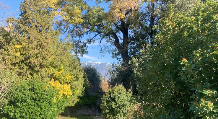 La prima neve risveglia il toro